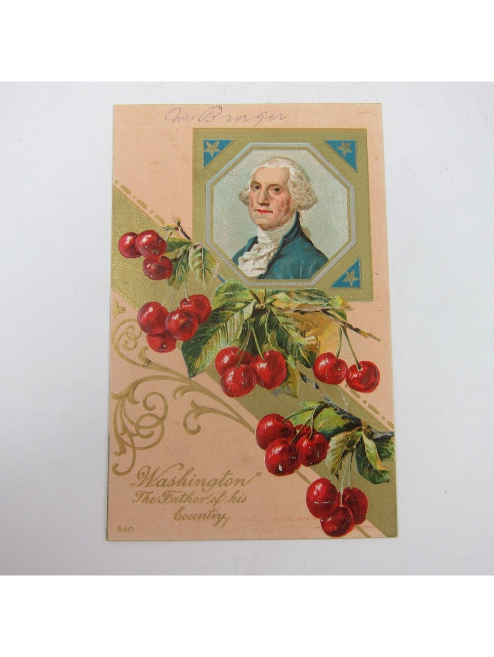 Postcard George Washington Portrait & Cherries Father Patriotic Embossed Antique
